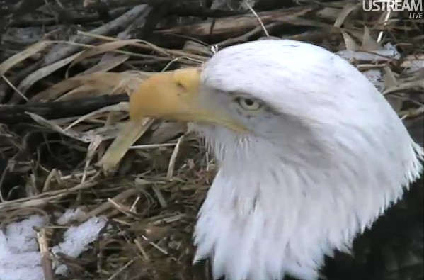 ScreenHunter_23 Feb. 21 11.02.jpg